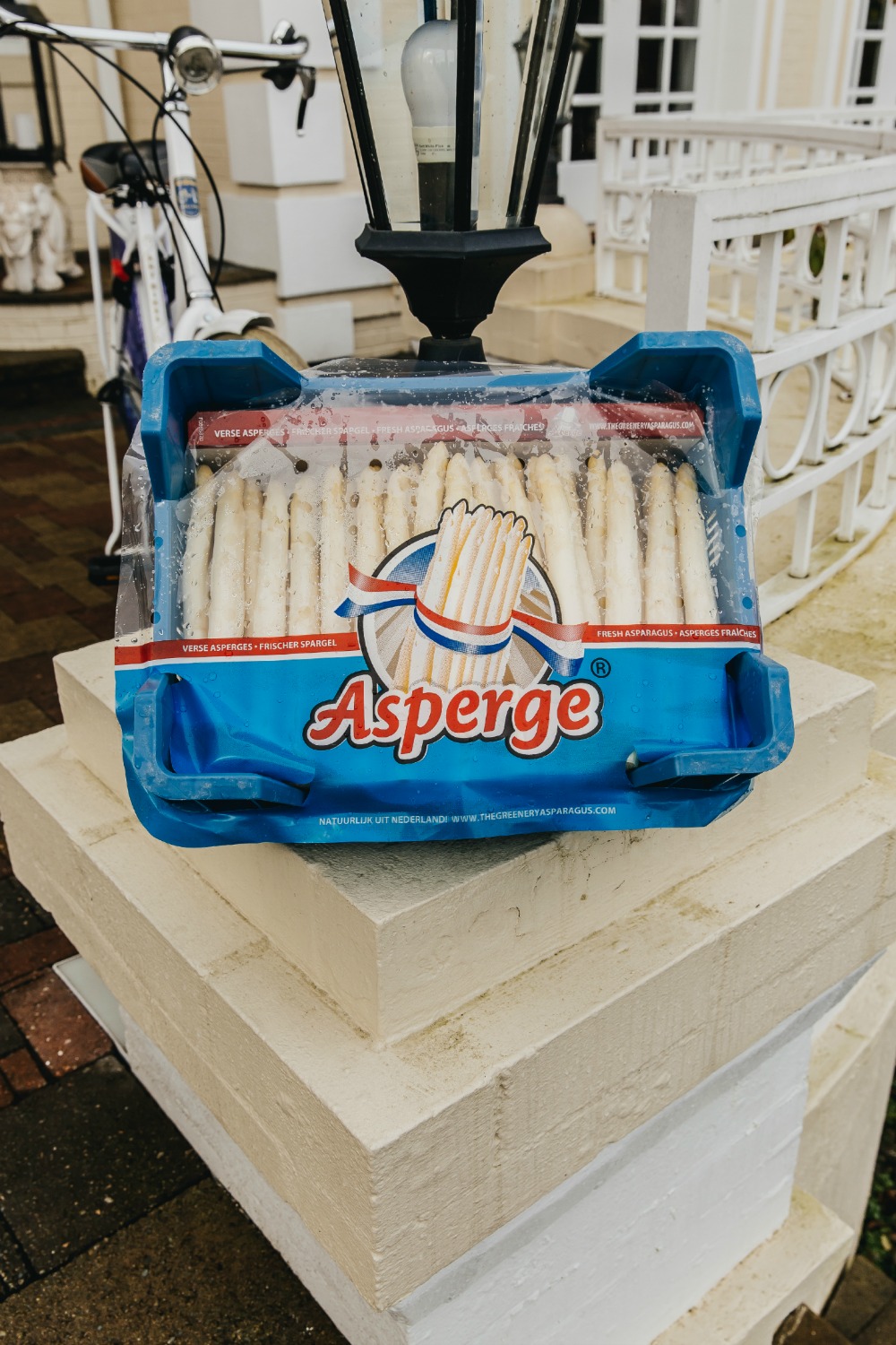 vivace pinot grigio meets dutch white asparagus